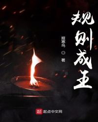 规则成王章节列表
