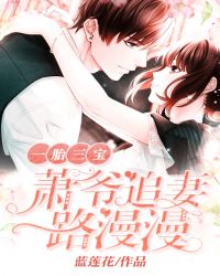 一胎三宝：萧爷追妻路漫漫章节列表