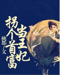 拐个首富当王妃章节列表
