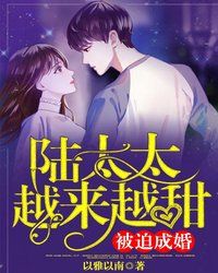 陆太太越来越甜章节列表