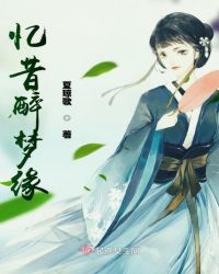 忆昔醉梦缘章节列表