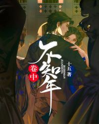 卷中不知年章节列表