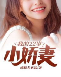 我的22岁小娇妻章节列表