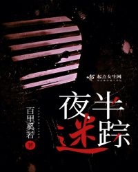 夜半迷踪章节列表