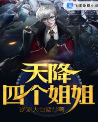 天降四个姐姐章节列表