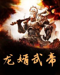 龙婿武帝章节列表