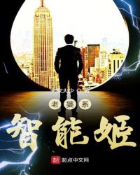 老婆系智能姬章节列表