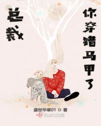 总裁你穿错马甲了章节列表