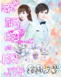 幸福的一段情章节列表