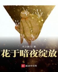 花于暗夜绽放章节列表