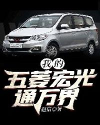 我的五菱宏光通万界章节列表
