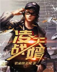 凌天战婿章节列表