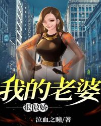 我的老婆很傲娇章节列表