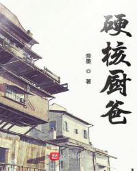 硬核厨爸章节列表