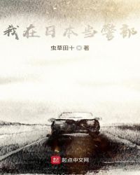 我在日本当警部章节列表
