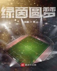绿茵圆梦章节列表