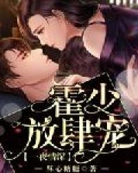 一夜情深：霍少放肆宠章节列表