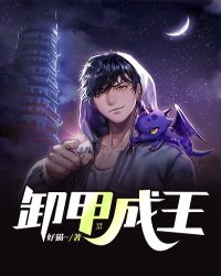 卸甲成王章节列表