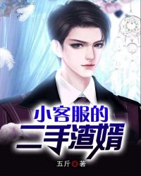 小客服的二手渣婿章节列表