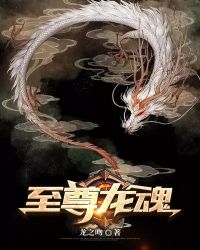 至尊龙魂章节列表