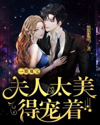 一胎双宝：夫人太美，得宠着章节列表