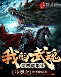 斗罗之我的武魂是恶魔果实章节列表