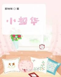 小韶华章节列表