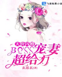 天价闪婚：BOSS宠妻超给力章节列表