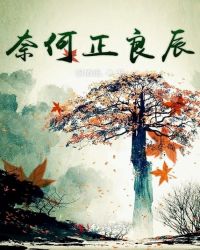 奈何正良辰章节列表