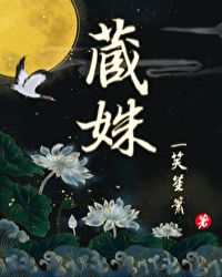藏姝章节列表