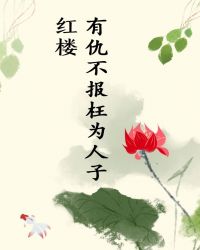 [红楼]有仇不报枉为人子章节列表