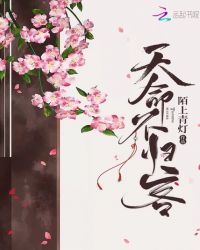 天命不归客章节列表