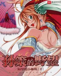 孙策的野望章节列表