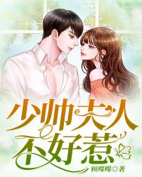 少帅夫人不好惹章节列表