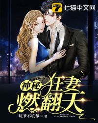 神秘狂妻燃翻天章节列表