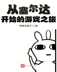 从塞尔达开始的游戏之旅章节列表