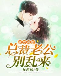 总裁老公别乱来章节列表