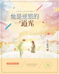 她是逆旅的一道光章节列表