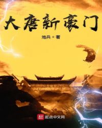 大唐新豪门章节列表