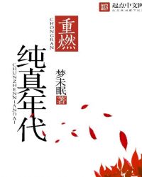 重燃纯真年代章节列表