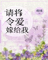 请将令爱嫁给我章节列表