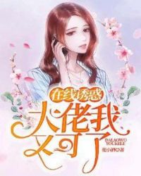 在线诱惑，大佬我又可了章节列表