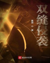 双缝侵袭章节列表