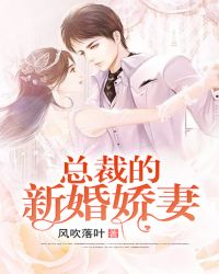 总裁的新婚娇妻章节列表