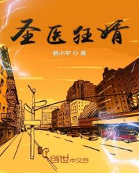 圣医狂婿章节列表