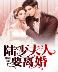 陆少夫人要离婚章节列表