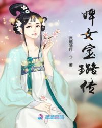 婢女宝璐传章节列表