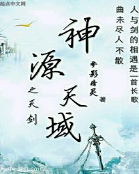 神源天域之天剑章节列表