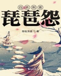 白衣刺客琵琶怨章节列表