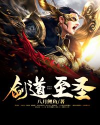 剑道至圣章节列表